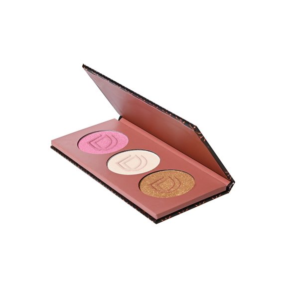 Dido Makeup Palette #3 N.PH301